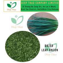 DEHYDRATED GREEN ONION LEAVES/